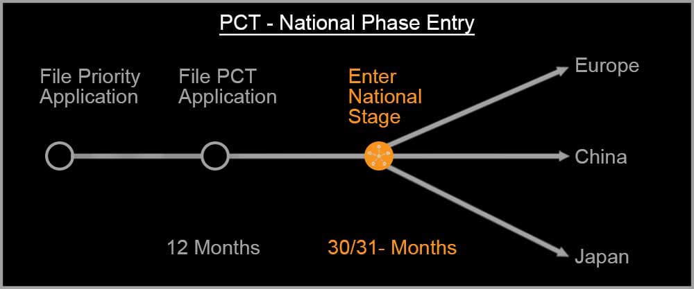 PCT (National Phase Entry)